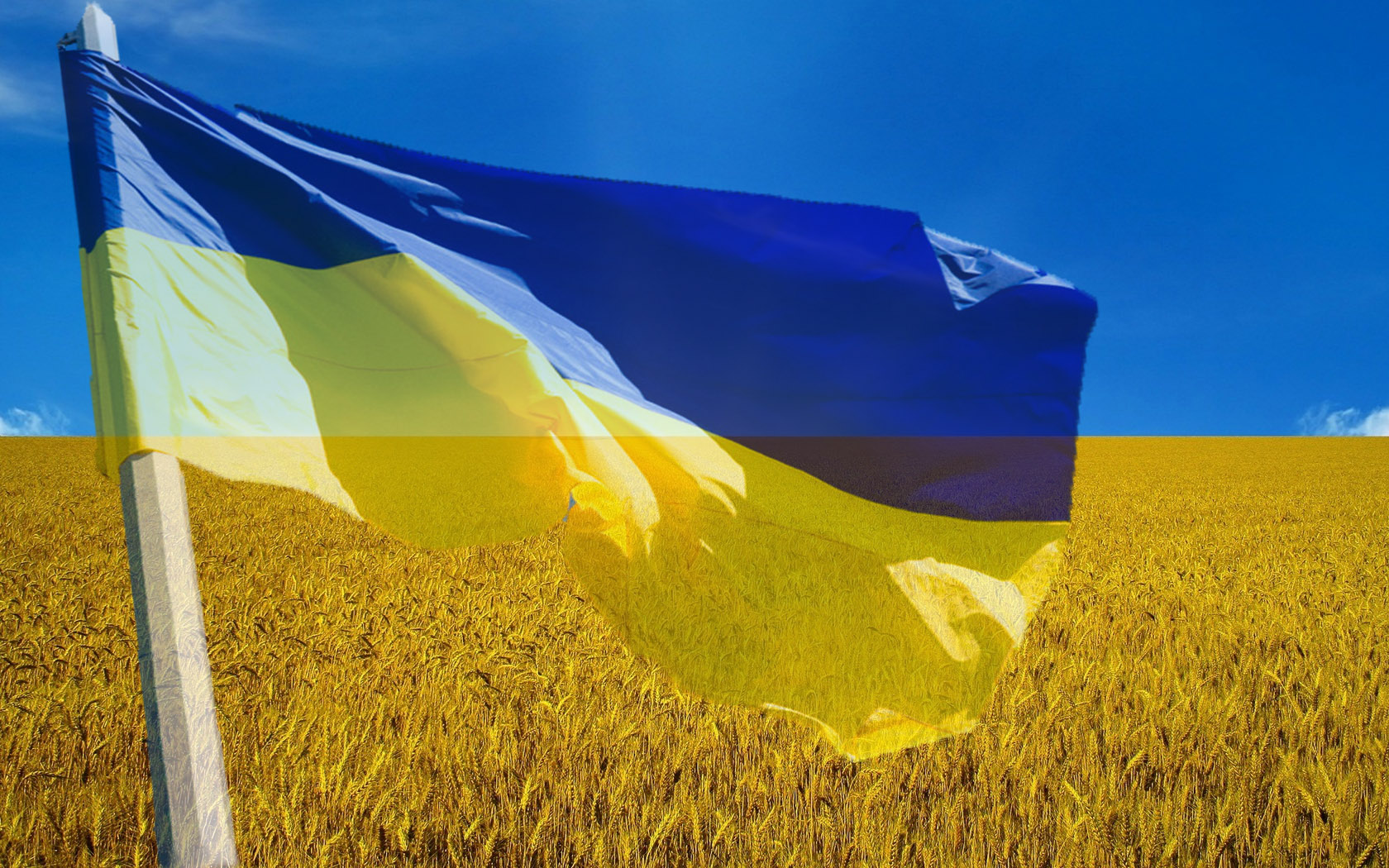 Результат пошуку зображень за запитом "Івано-Франківськ готується до Дня Незалежності"