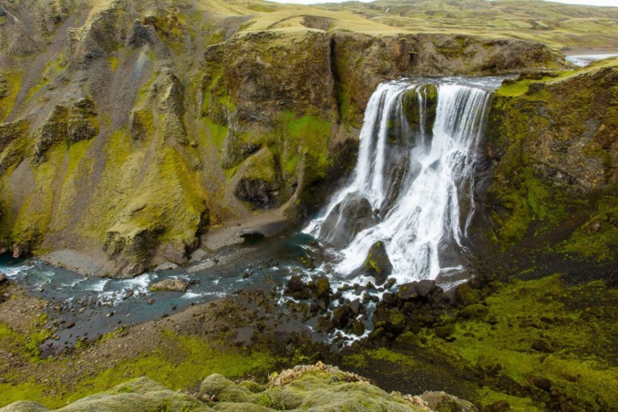 Вся Ісландія покрита мохом