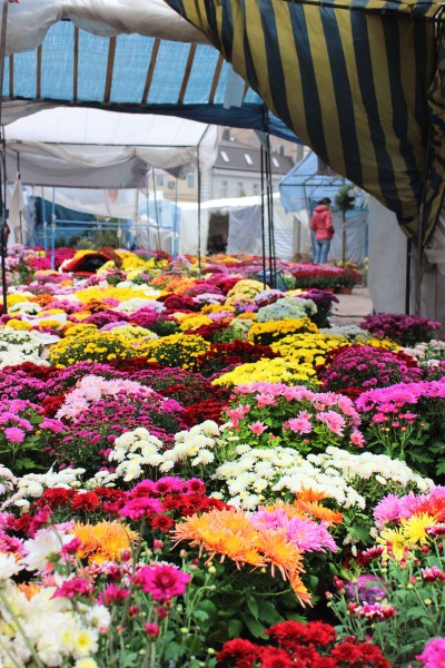Контраст ринку і квітів