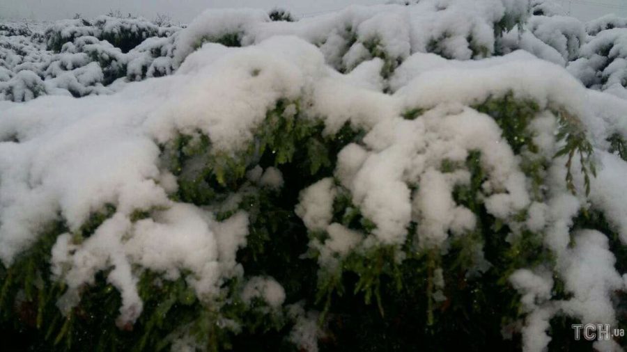 Цієї ночі високогір’я Карпат добряче засипало снігом (фоторепортаж)