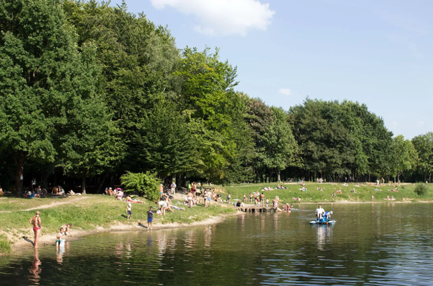 Чим особливий Горіховий гай — парк, що не схожий на інші