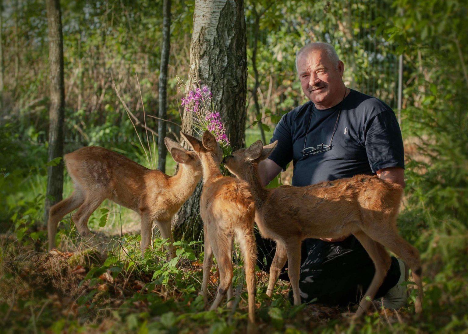 Майстер і його лісові тварини: прикарпатець облаштовує реабілітаційний центр для косуль