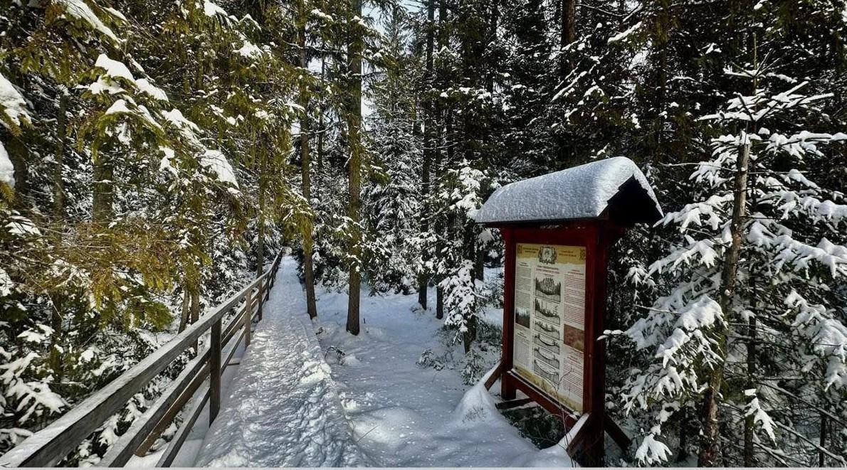 На Верховинщині створять туристичний маршрут до скелі Писаний Камінь