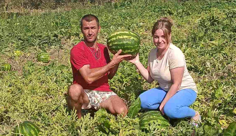 «Ніхто не вірив, що тут виросте кавун»: як переселенці з Лазурного відновлюють городню справу на Прикарпатті