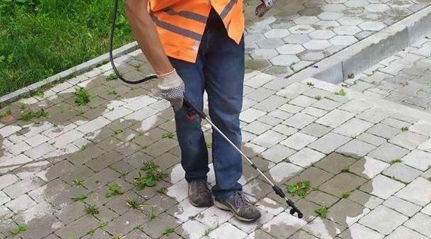 У Ямницькій громаді два дні обприскуватимуть тротуари та зупинки від бур’янів