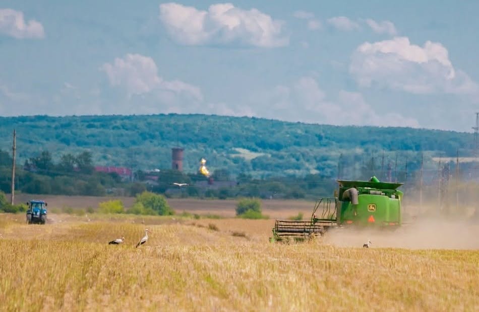 Івано-Франківська громада почала жнивувати