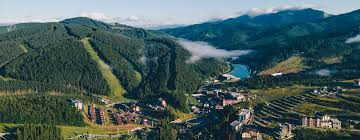 Готель у Буковелі за «відмиті» гроші: повідомили про підозру експосадовцю столичної митниці