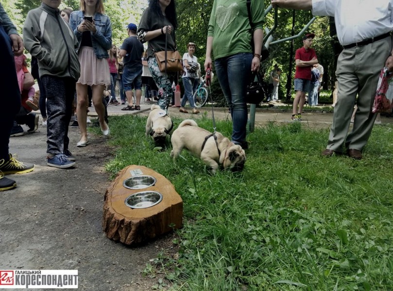 18742093_1486874388035745_1916474355_n