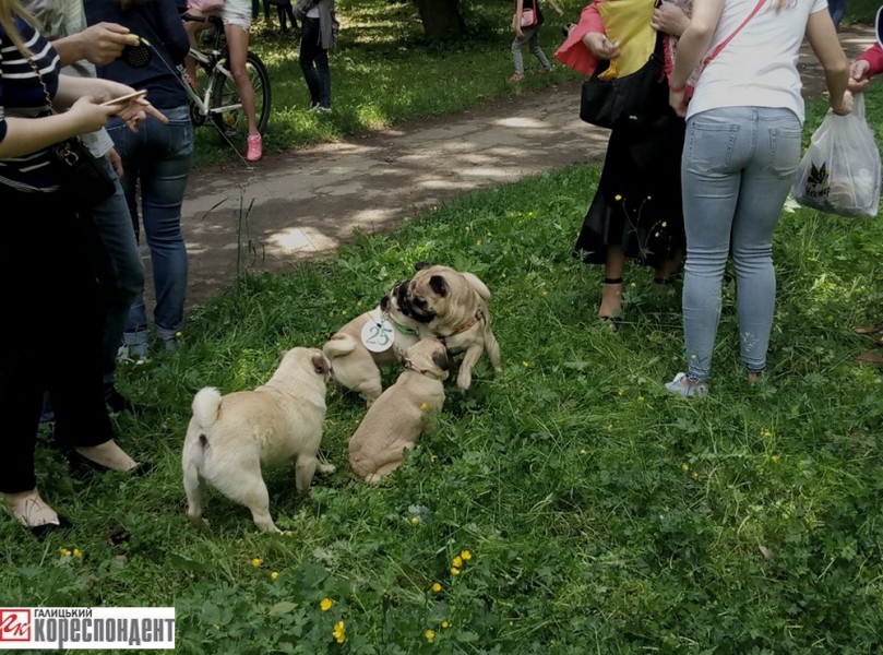 18762261_1486874721369045_353558268_n