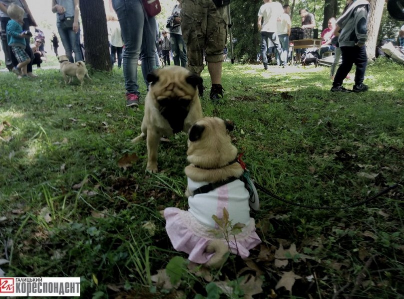 18762744_1486874288035755_1487629858_n