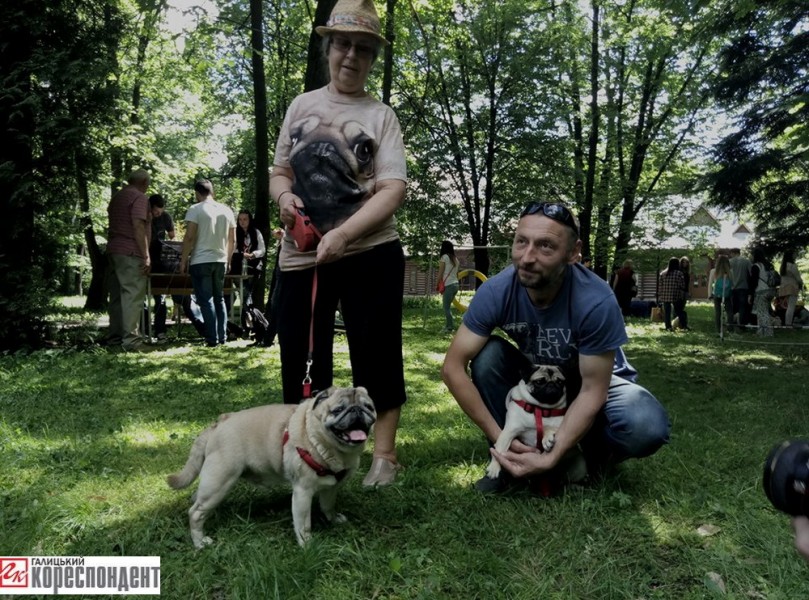 18762988_1486874664702384_2040744947_n