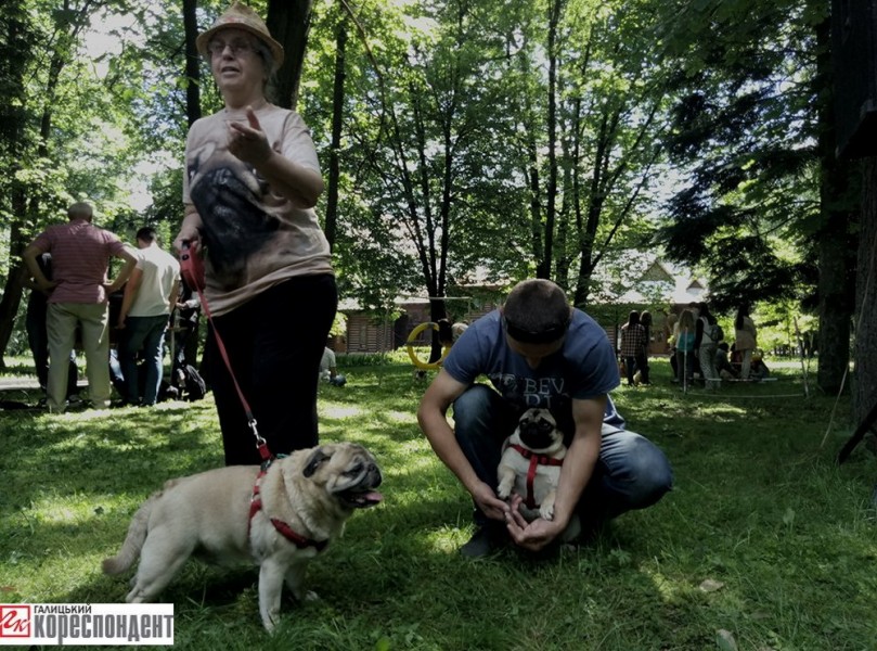 18788559_1486874571369060_966967868_n