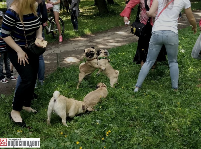 18788582_1486874861369031_619647099_n