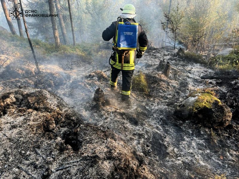 На Косівщині ліквідували пожежу в лісовому масиві