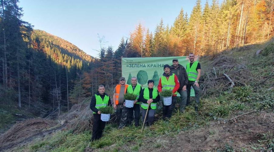 У Карпатах продовжують висаджувати ліс