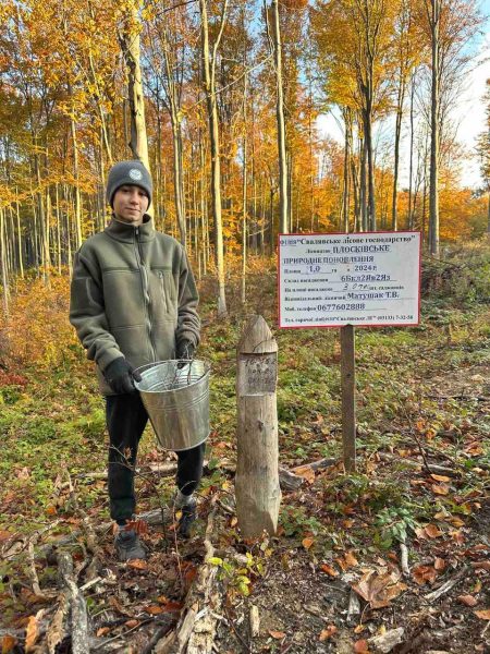 У Карпатах продовжують висаджувати ліс