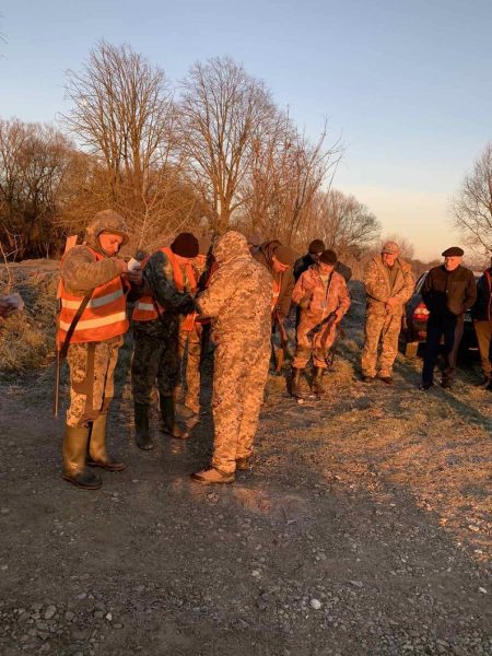 На Прикарпатті триває відстріл лисиць