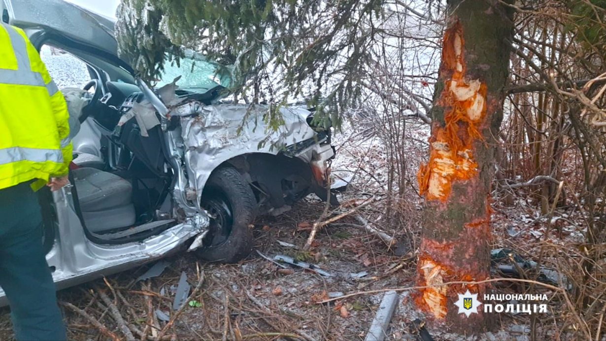 На Городенківщині водій врізався в дерево