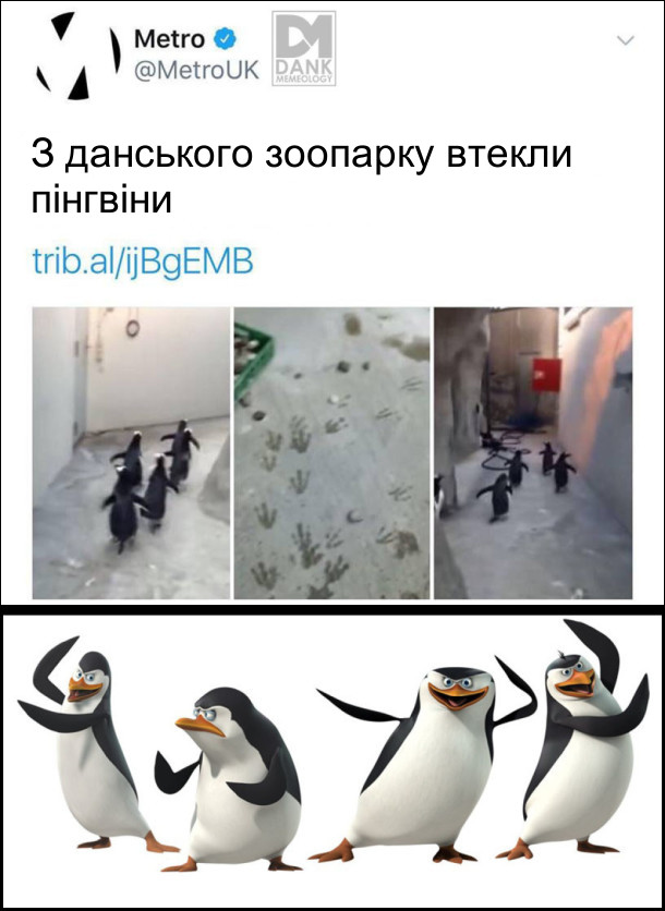 Анекдот дня