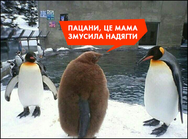 Анекдот дня