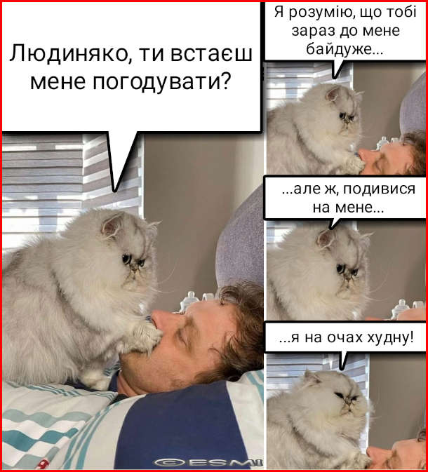 Анекдот дня