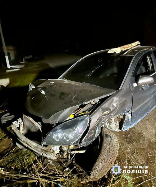 На Городенківщині водій автівки в’їхав у дерево