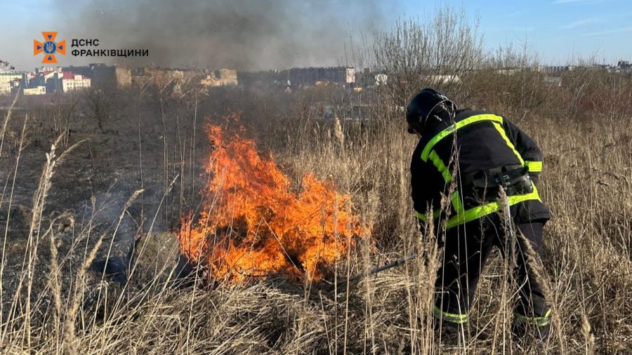 В урочищі Дем’янів Лаз згоріло 15 гектарів сухої трави