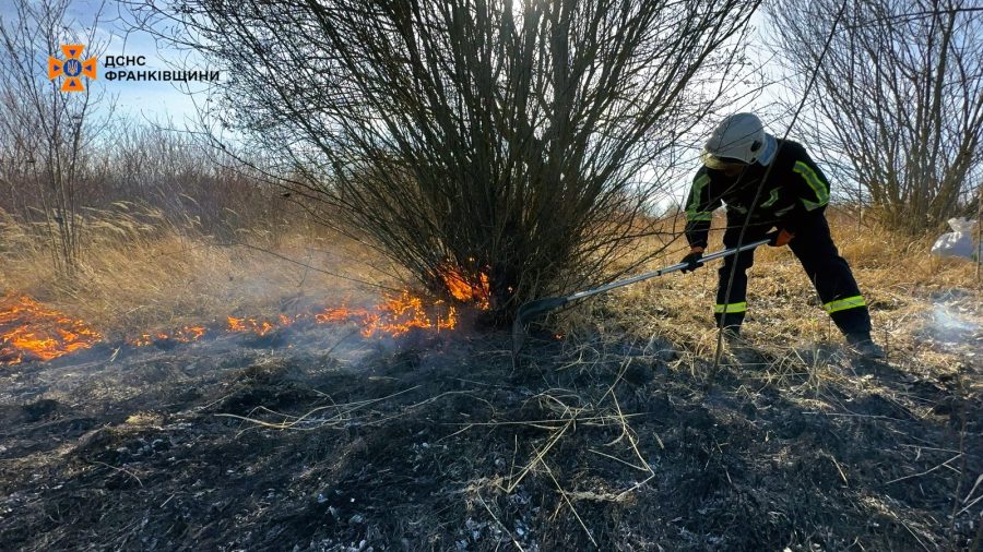 В урочищі Дем’янів Лаз згоріло 15 гектарів сухої трави