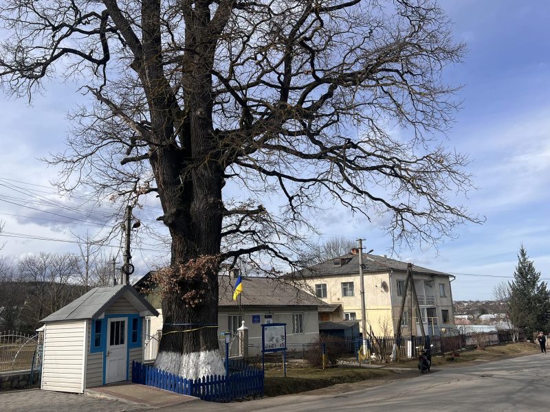 Там, де живуть соровичники: як у надвірнянському селі варять сіль