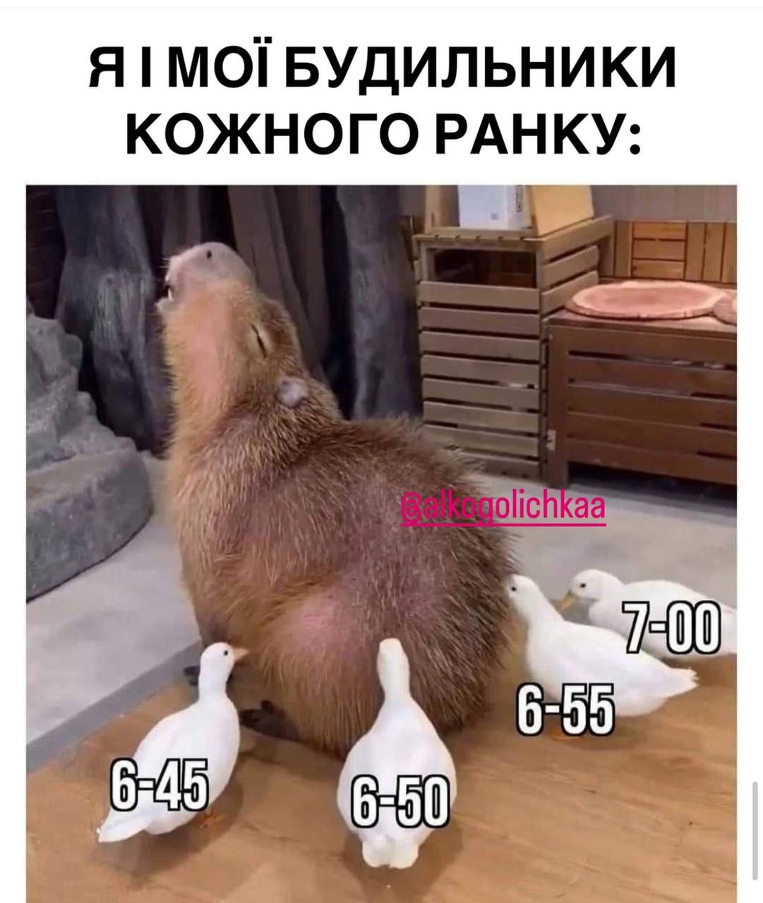 Анекдот дня