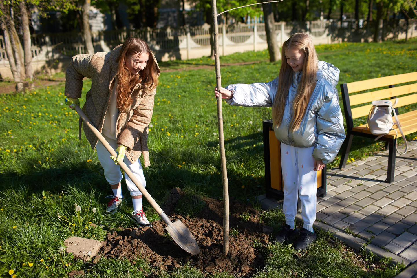 Долучитися може кожен: у Франківську організовують загальноміську толоку