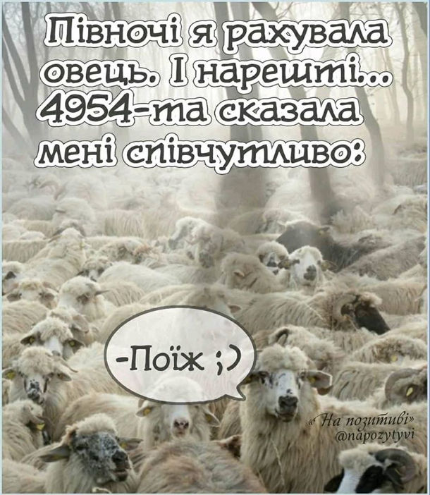 Анекдот дня