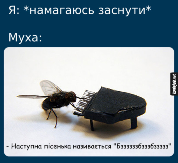 Анекдот дня