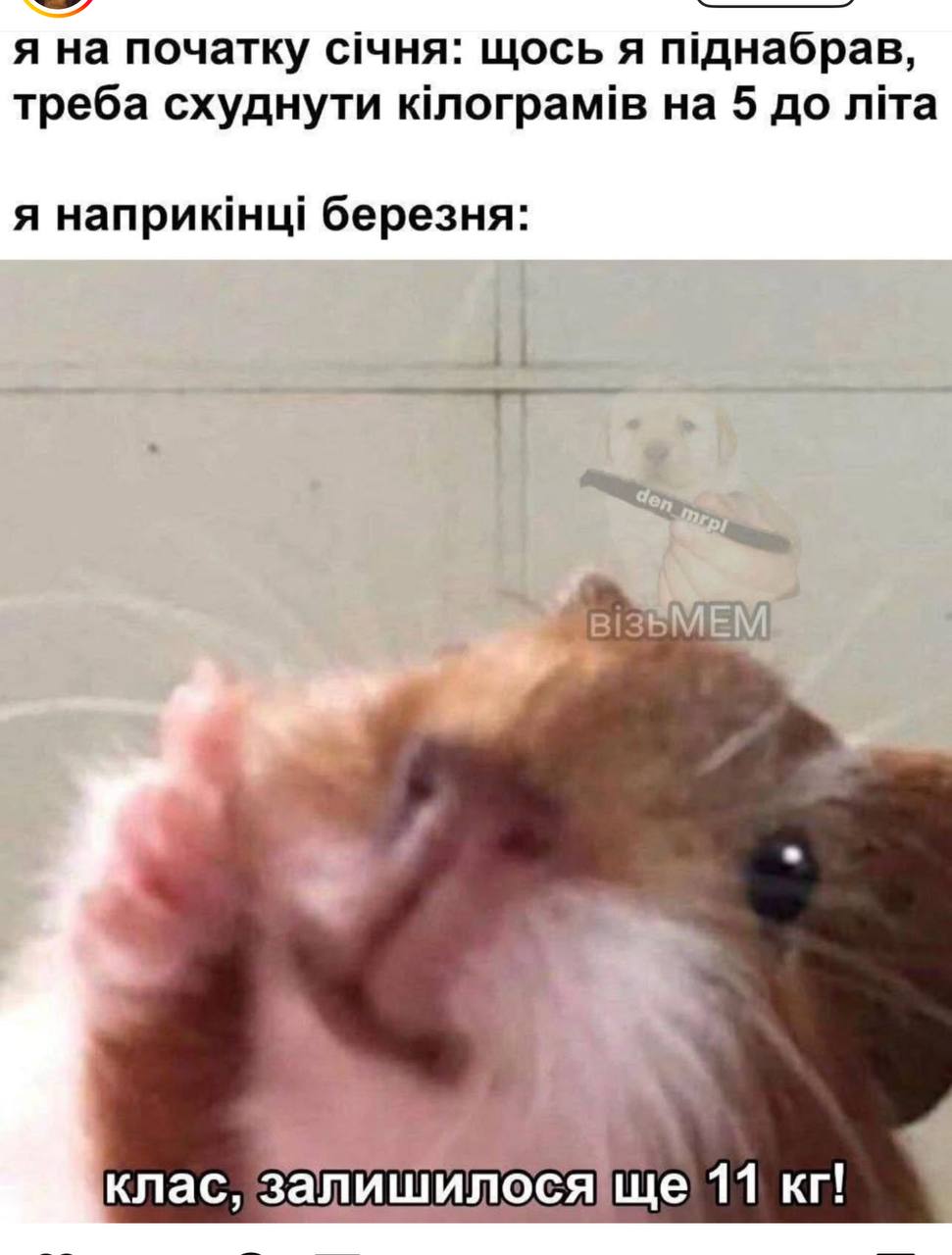 Анекдот дня