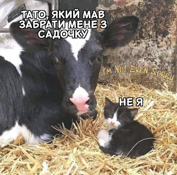 Анекдот дня