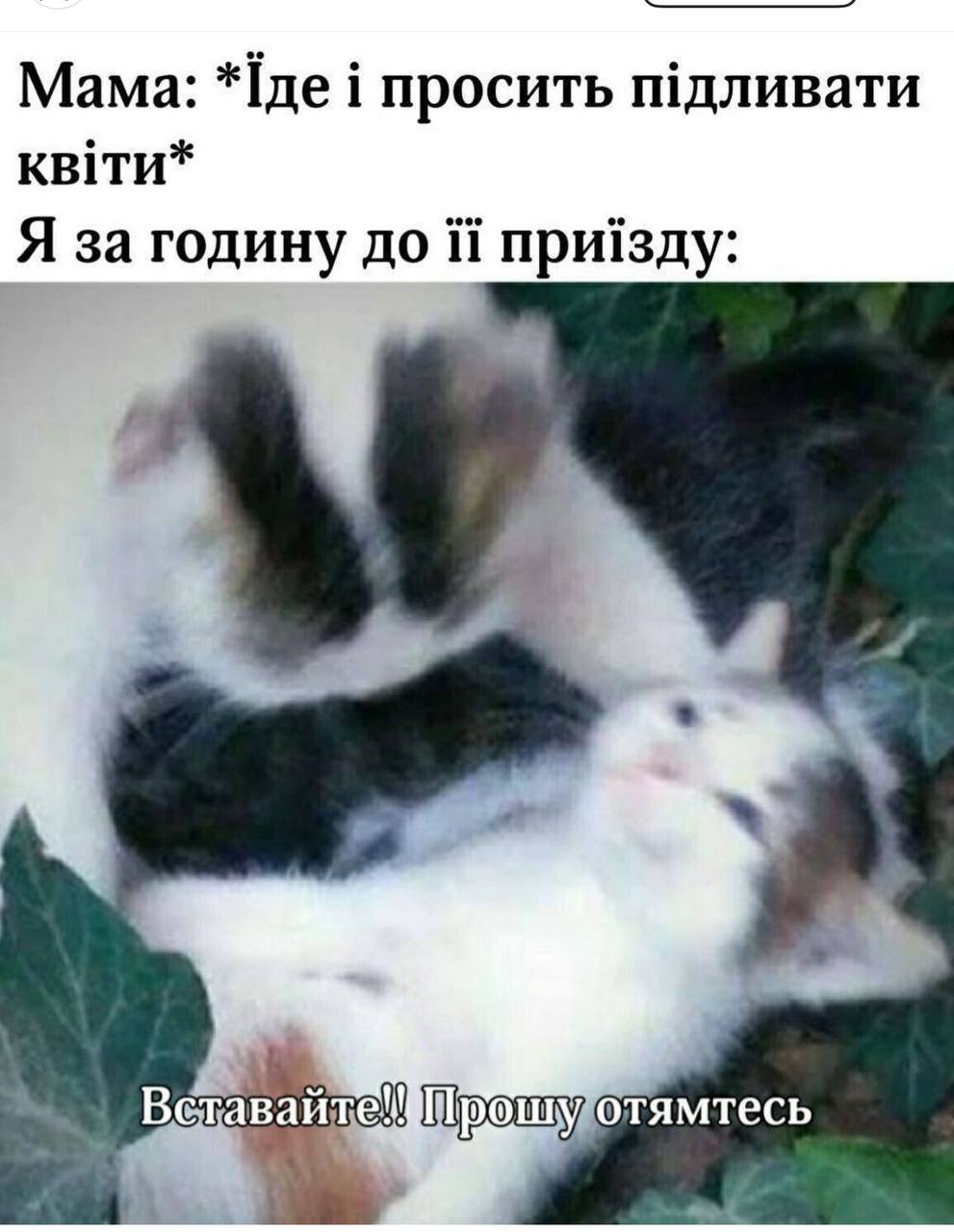 Анекдот дня