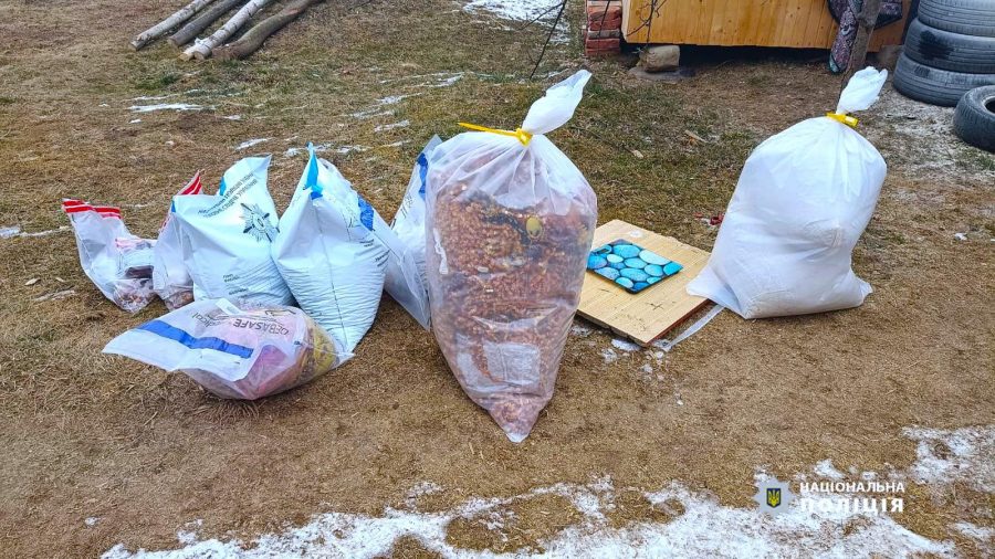 На Прикарпатті організатор банди, яка збувала бурштин, отримав мінімальний штраф