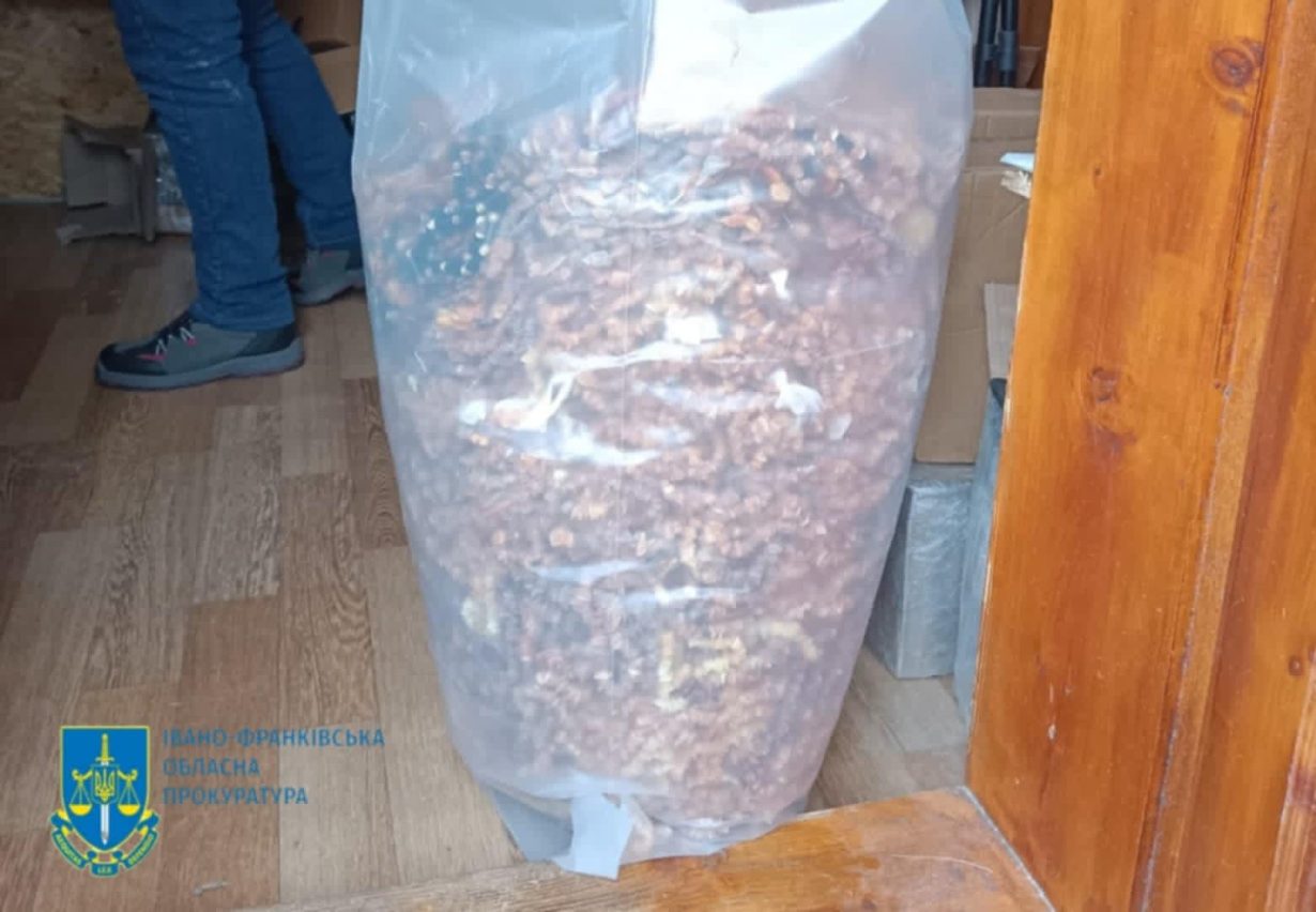 На Прикарпатті судитимуть організатора злочинної групи, що нелегально торгувала бурштином