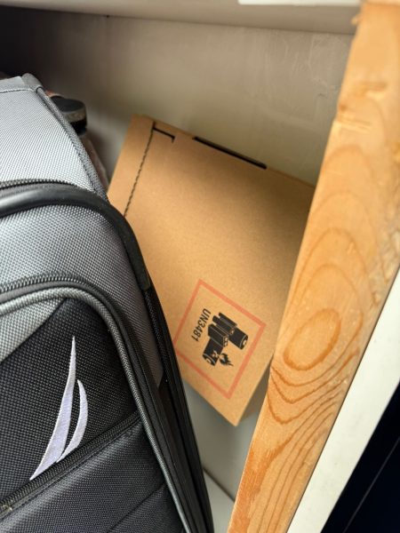 Прикарпатець намагався провезти у дивані 32 пари навушників AirPods Max
