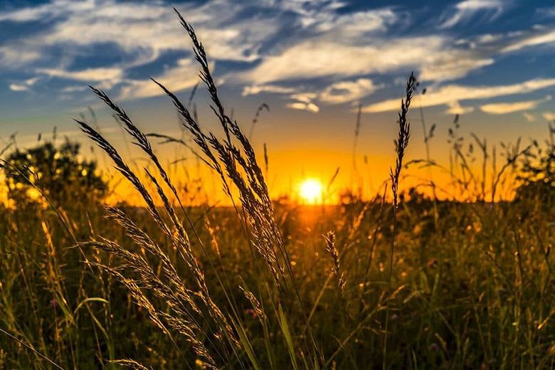 4 червня: свята, іменини та заборони