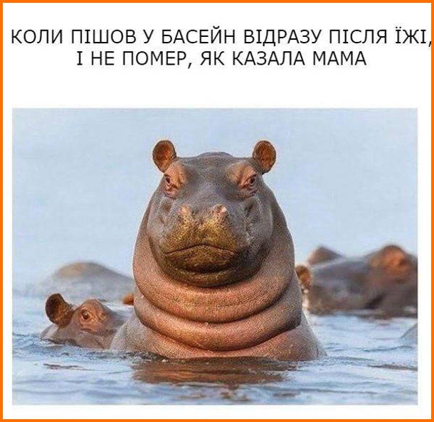 Анекдот дня