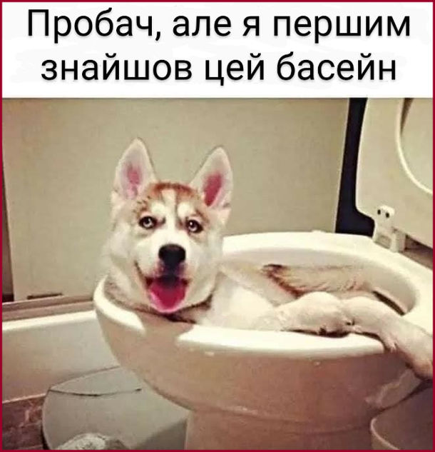 Анекдот дня