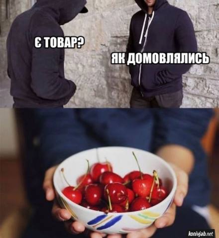 Анекдот дня