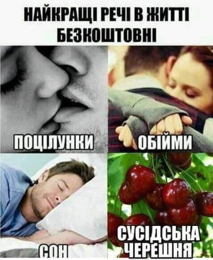 Анекдот дня