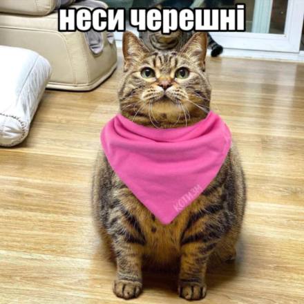 Анекдот дня