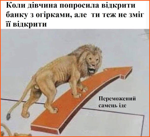 Анекдот дня