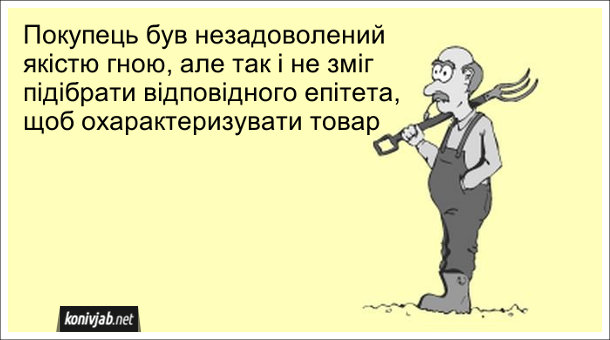 Анекдот дня