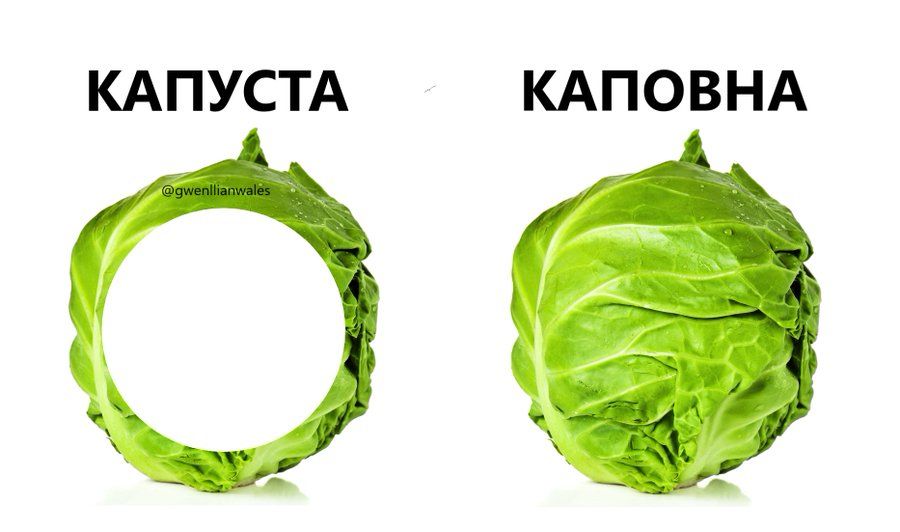Анекдот дня