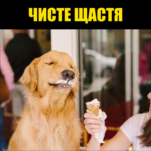 Анекдот дня
