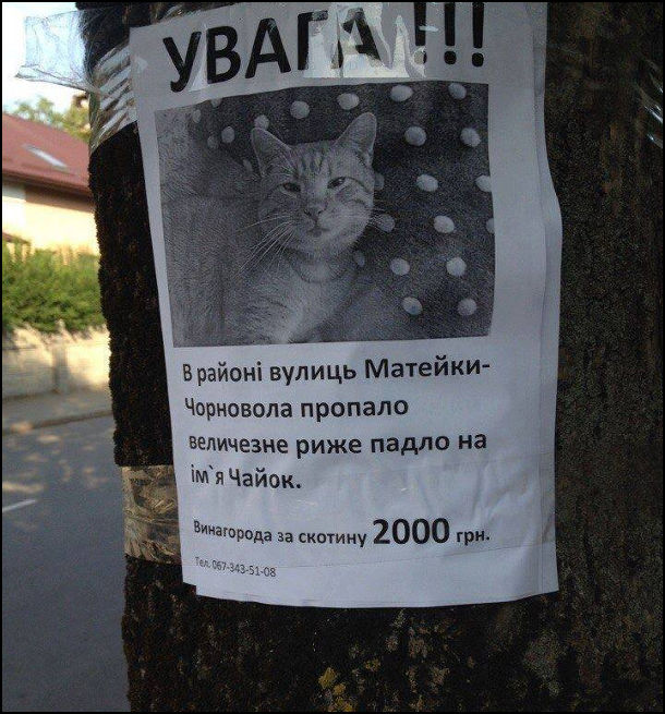 Анекдот дня